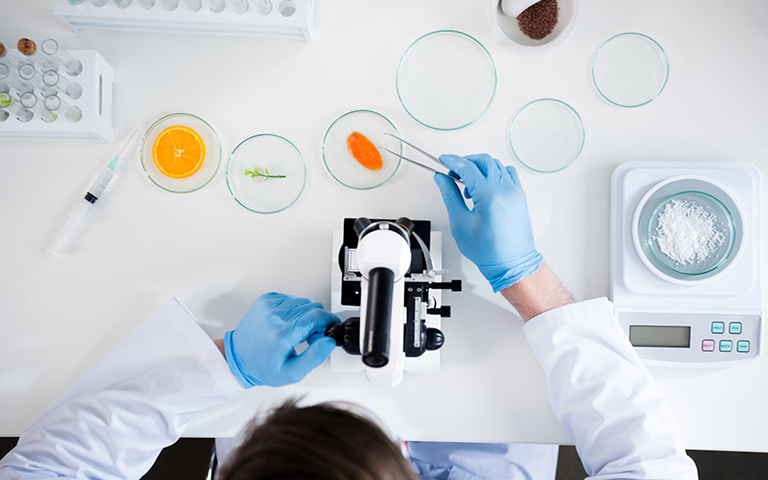 食品/保健食品检测